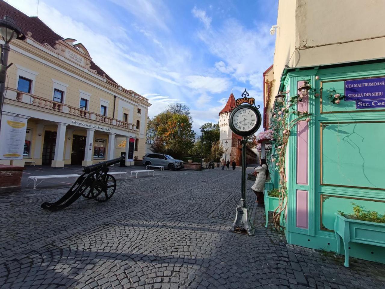 Old Town Cozy Nest Apartman Nagyszeben Kültér fotó