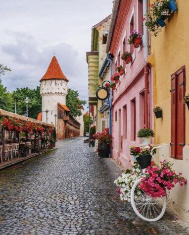Old Town Cozy Nest Apartman Nagyszeben Kültér fotó